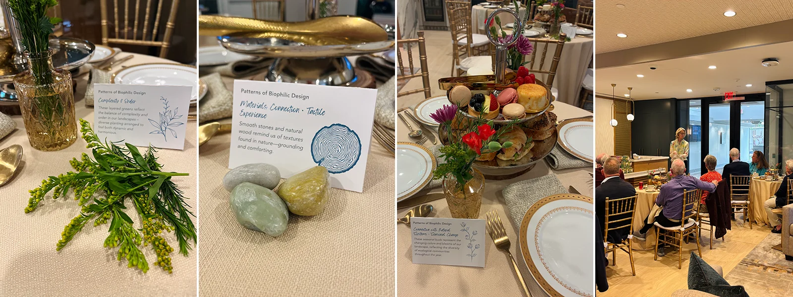 Rooted Together: Earth Day Tea event
